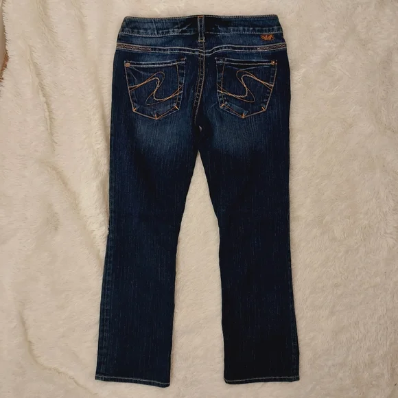 SILVER Jeans Santorini Denim Capri Pants, Size  28 - Picture 3 of 11